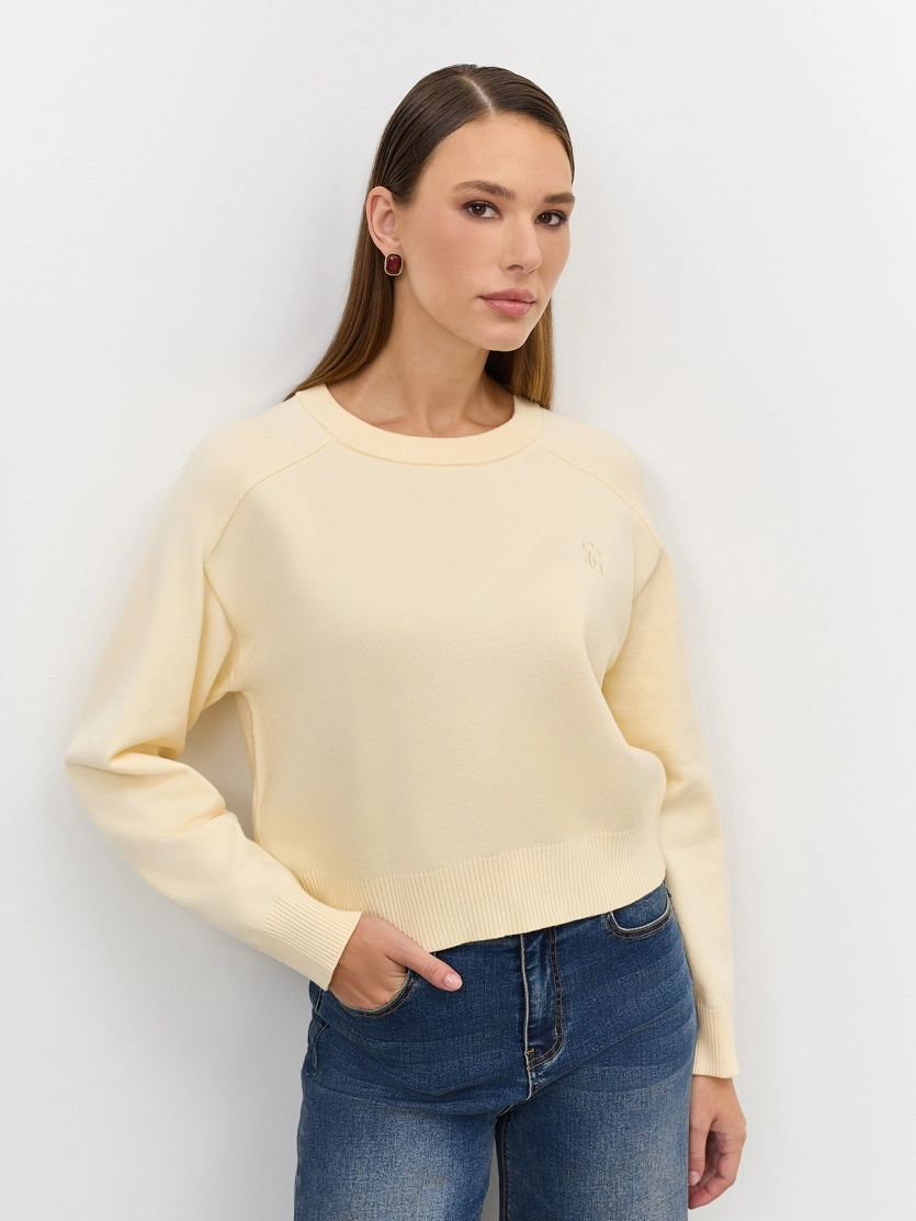 Укороченный джемпер с воротником стойкой