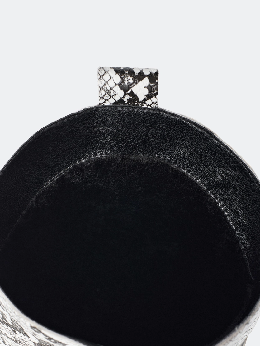 Казаки со змеиным принтом